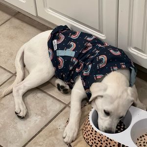 Dog rain jacket